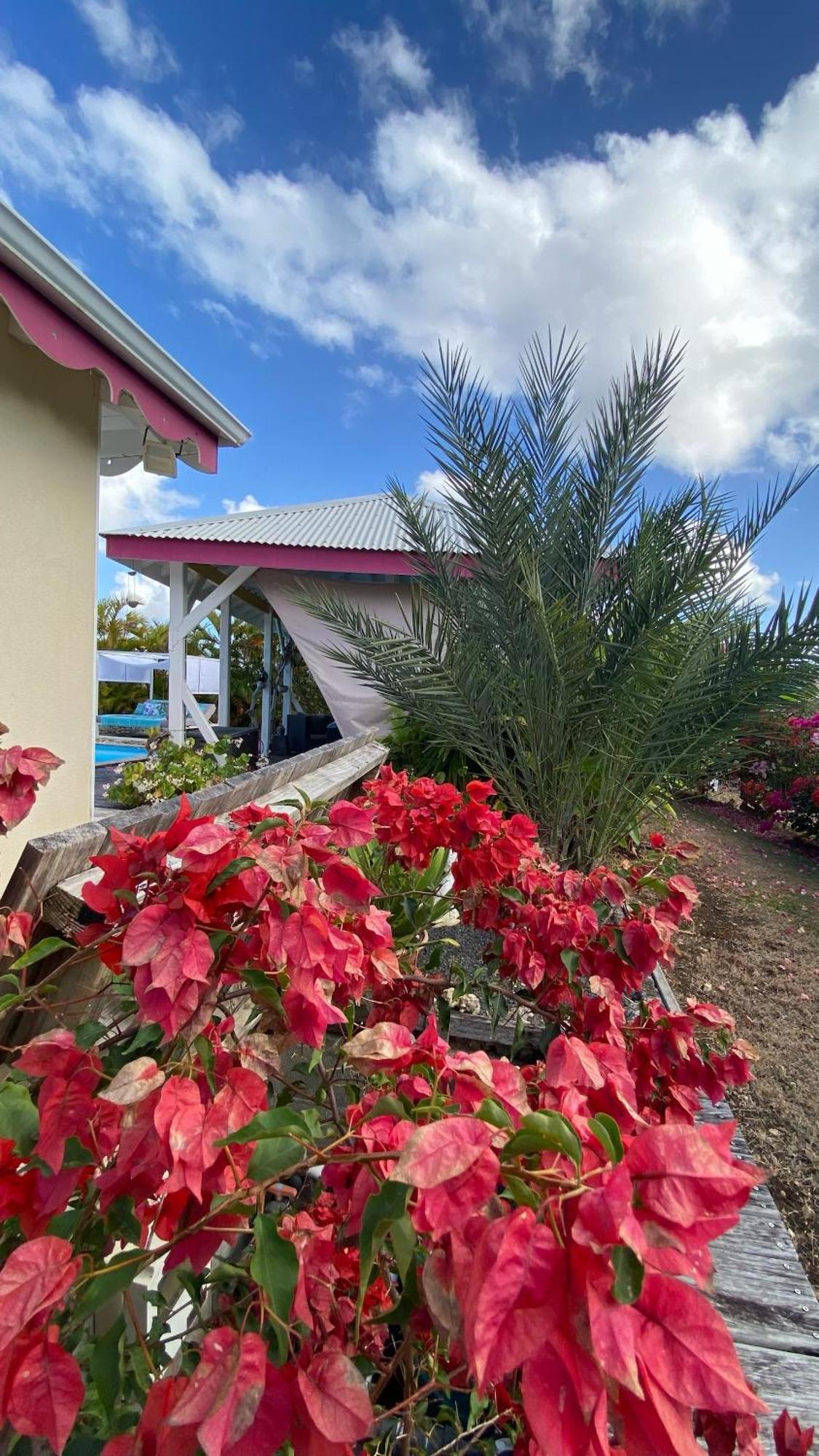 Au Bel'Vue Chez Sandrine "Gite & Chambre D'Hotes" Le Moule Εξωτερικό φωτογραφία